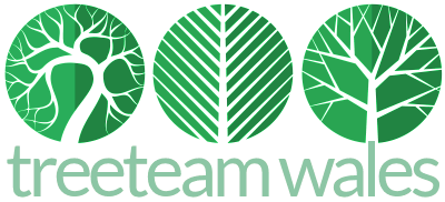 treeteam.wales logo